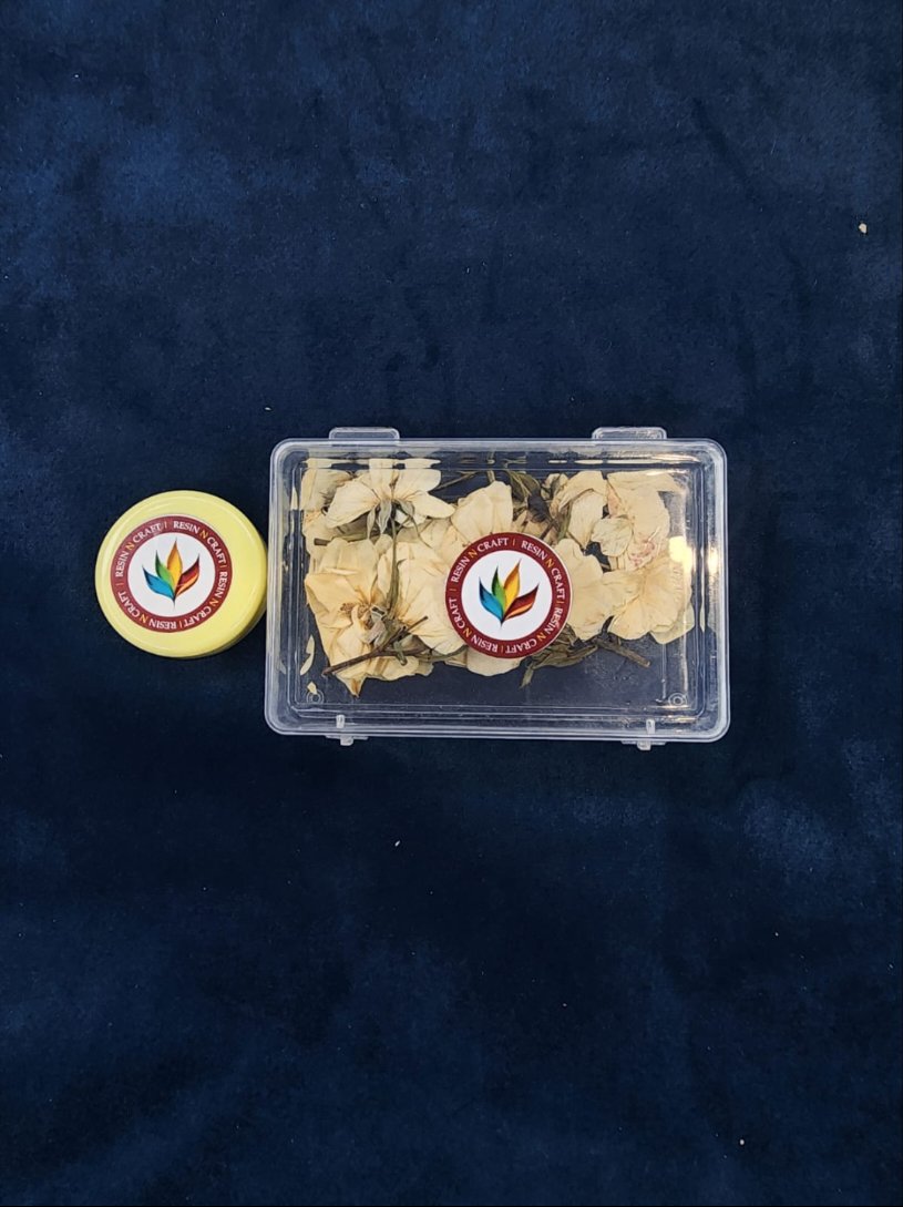 Pressed Dried - White Rose