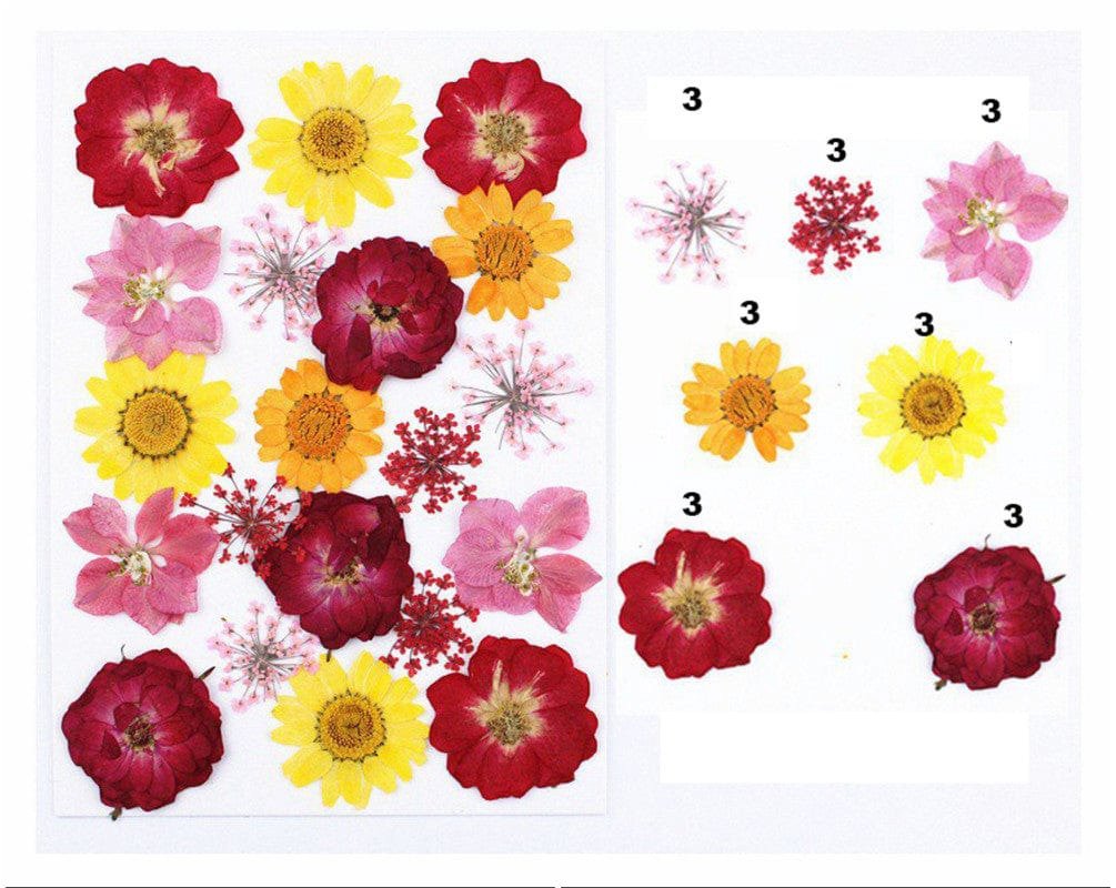 Pressed Flower