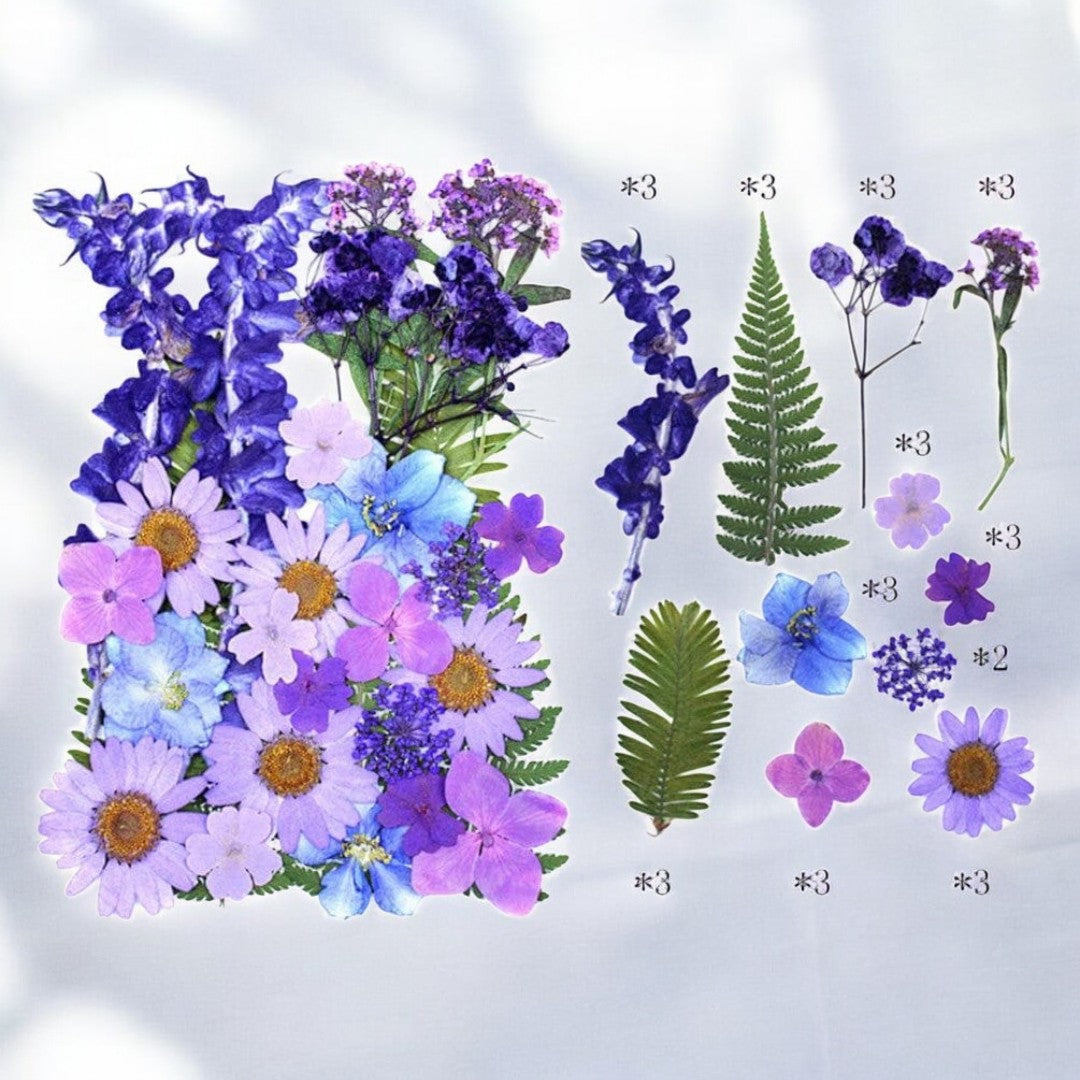 32 In 1 Pressed Flower