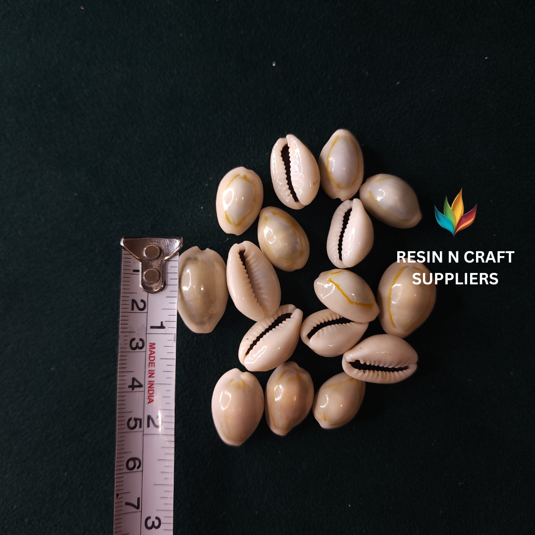 Polished Mini Cowrie Shells Stone 10 GRMS (Design 31) (Creamy White)