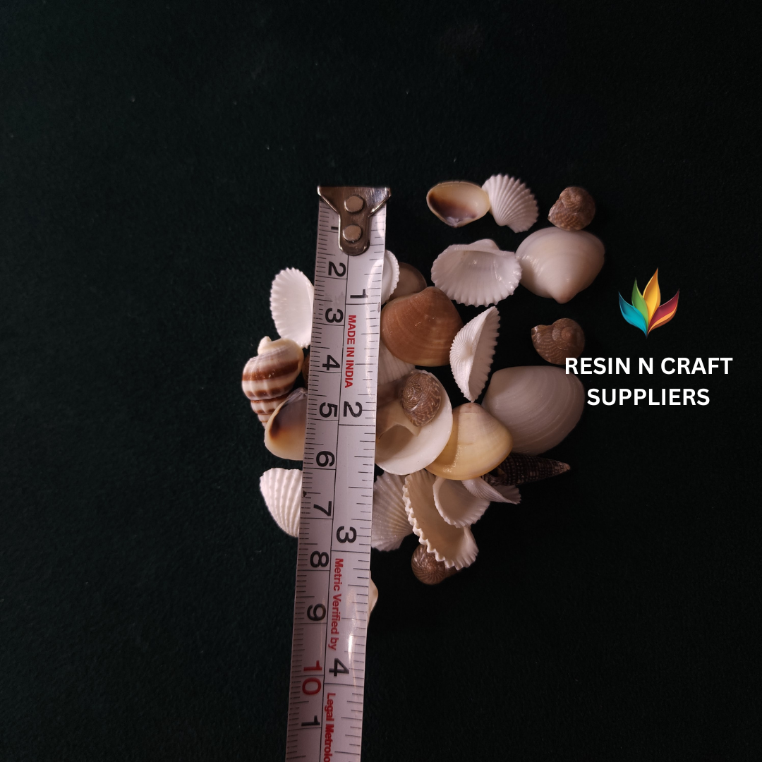 Miniature Mixed Beach Shell 40 GRMS (Design 8)