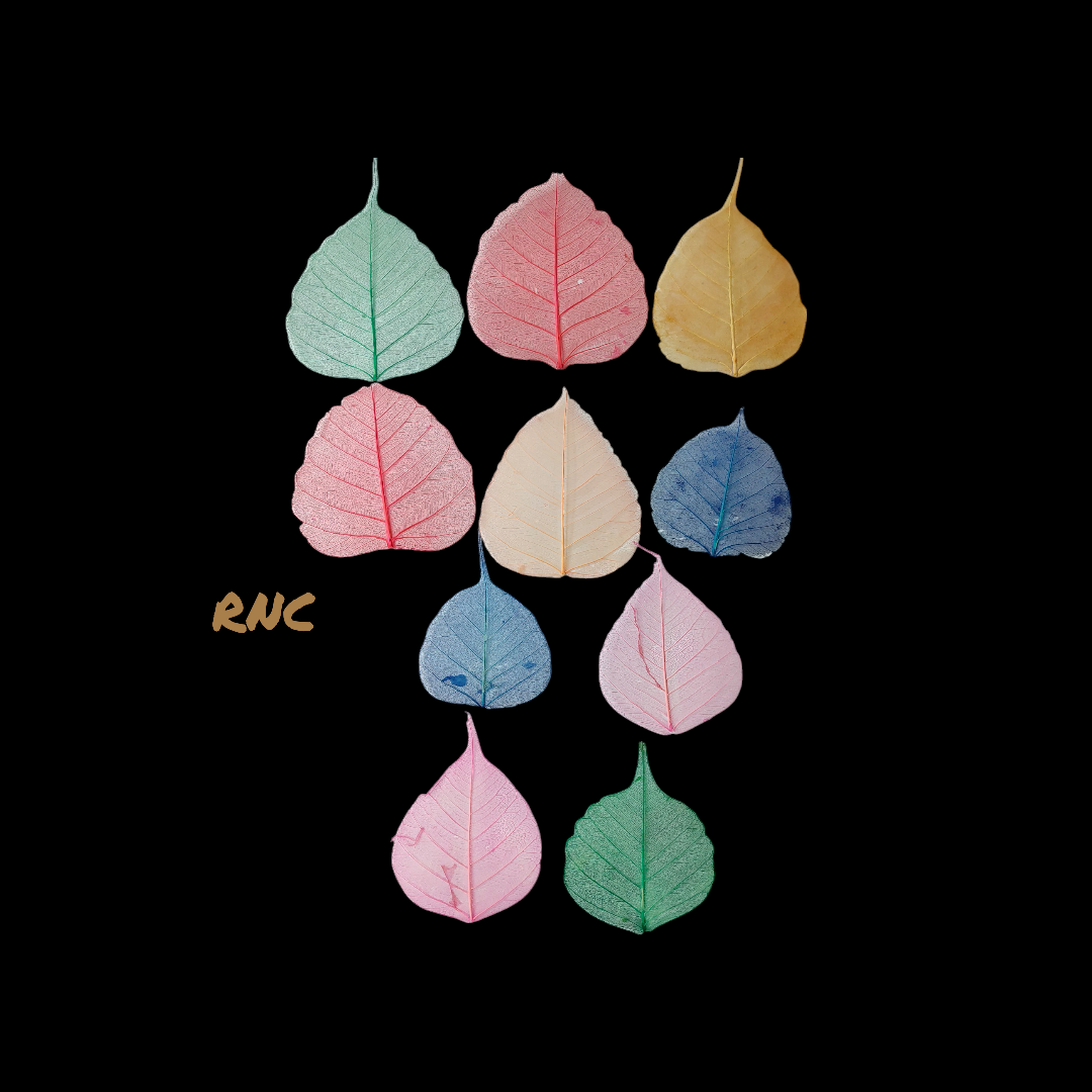 Peepal Leaf Mix 10 pcs pack