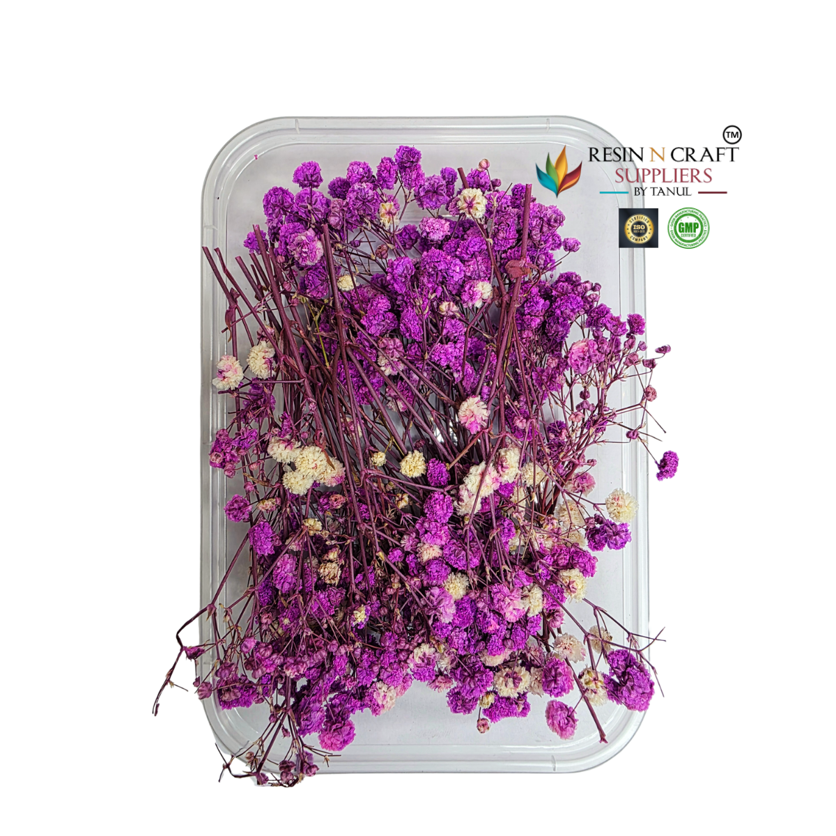 Gypsy Flower Box Purple (Magenta Shade) Color