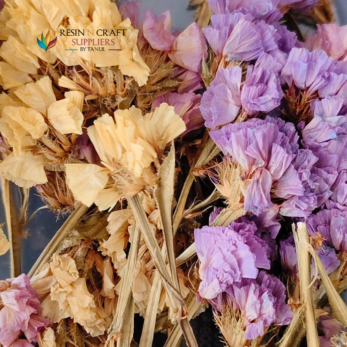 Multy Dried Statice Flower