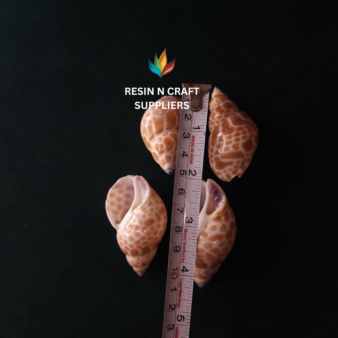 Spotted Leopard Print Shells Stone 40 GRMS (Design 2)