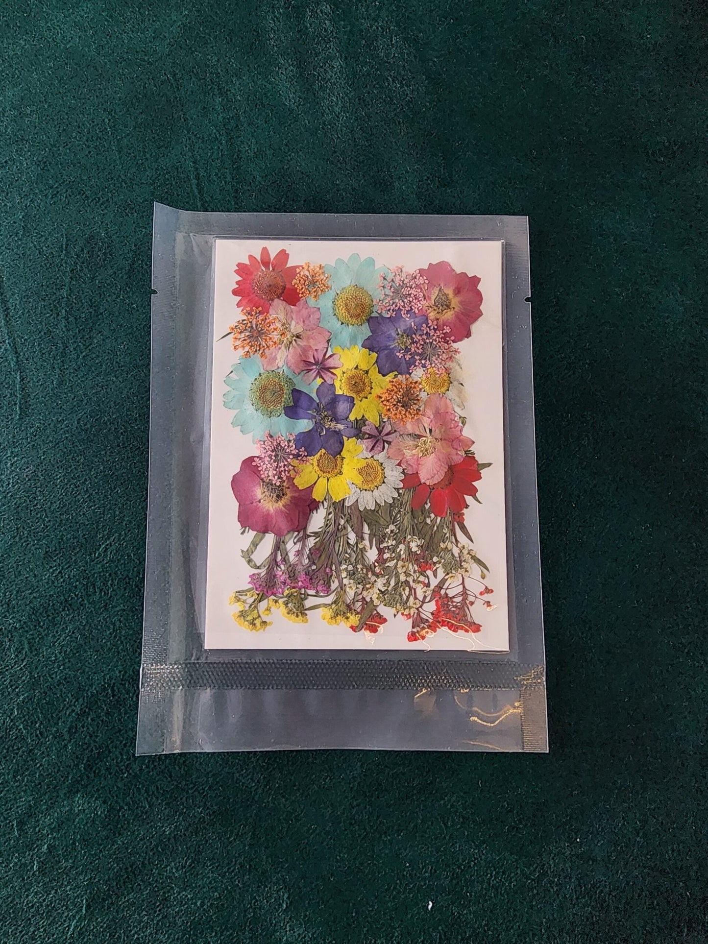 Pressed Flowers PS003