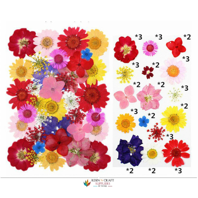40 In 1 Pressed Flowers Fl149