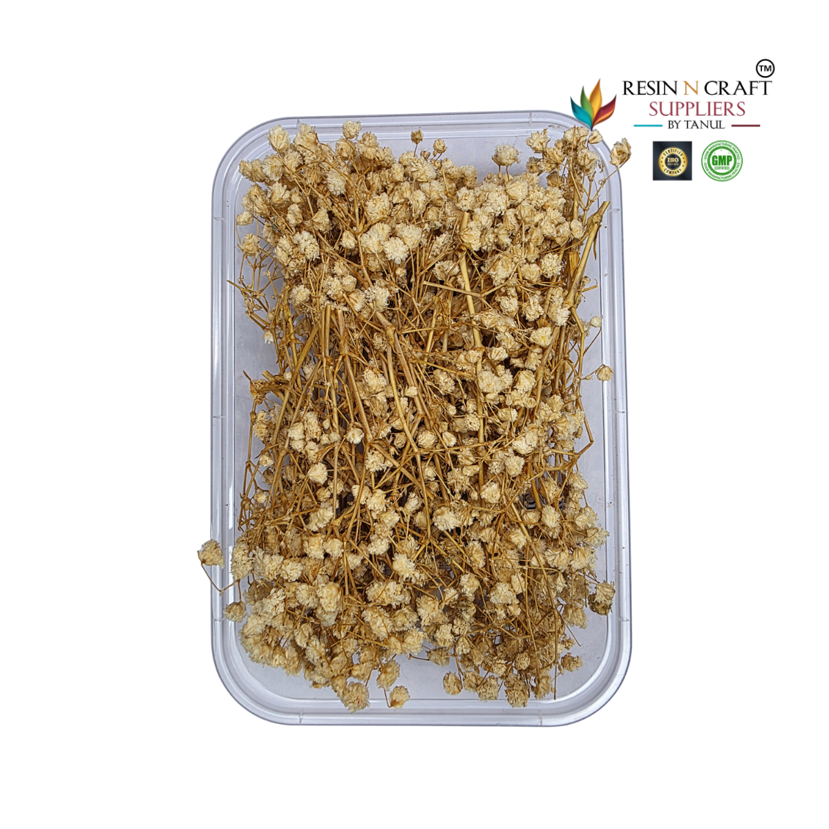 Gypsy Flower Box White Color