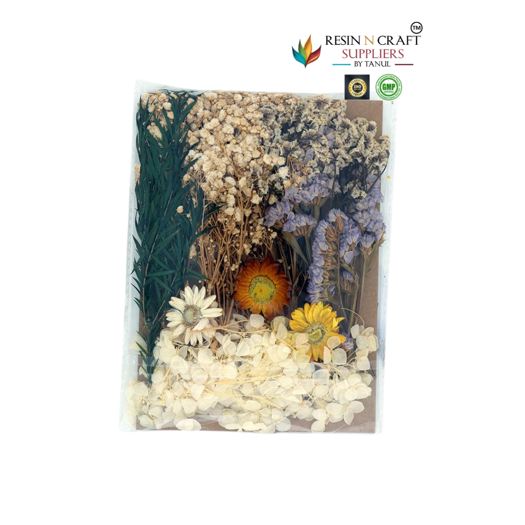 Dry Flower Sheet Card Packing – Mic Color Theme (RFL6021)