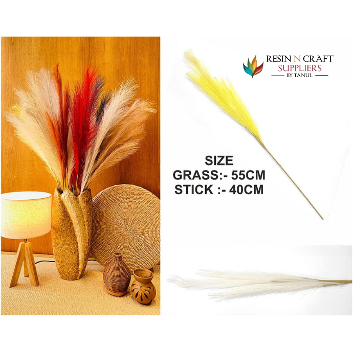 Off White Plain Pampas Grass For Hup Stand