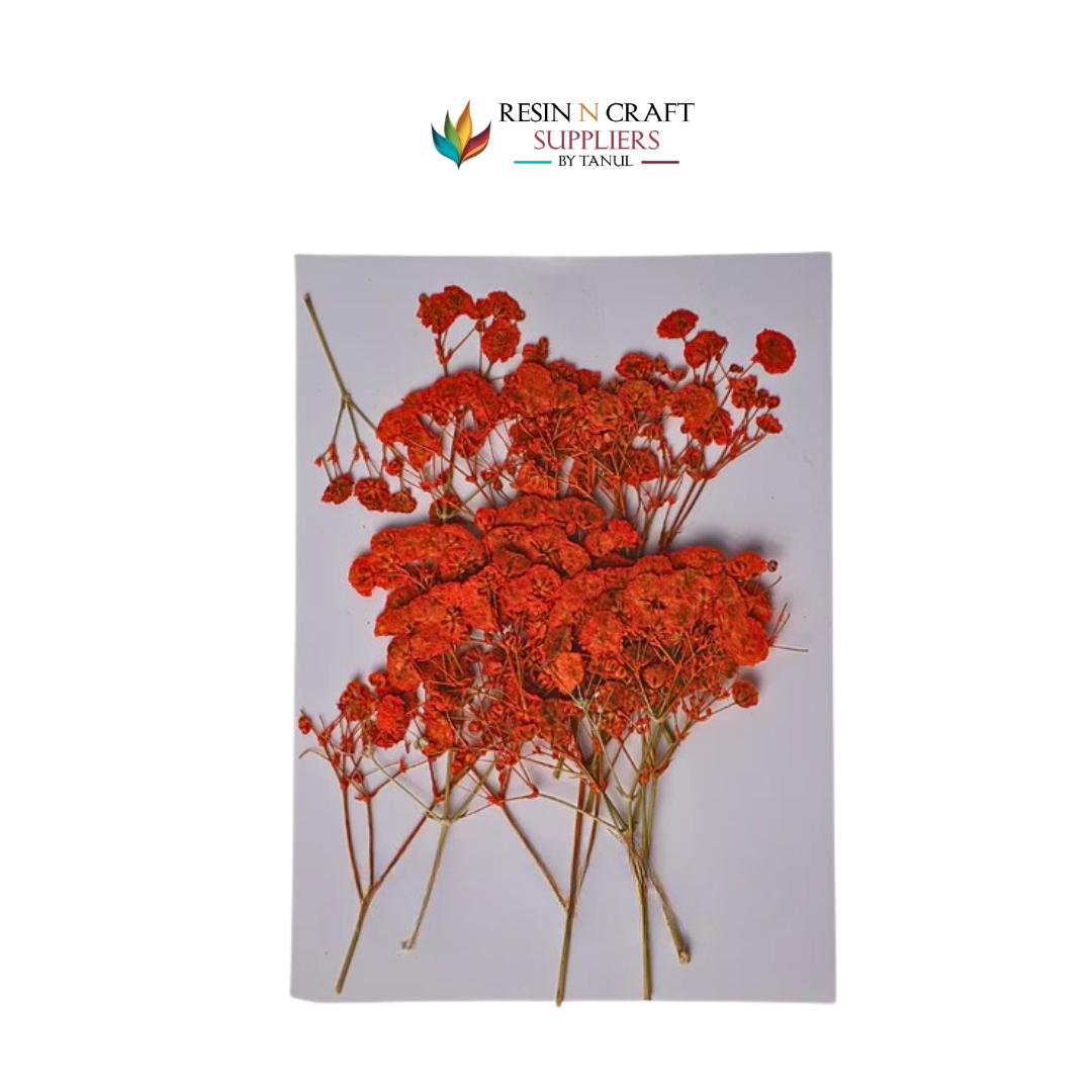 Baby Breath - Orange