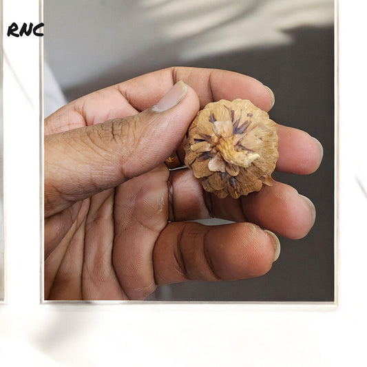 HBR-F01D PINCORN FLOWERS BROWN