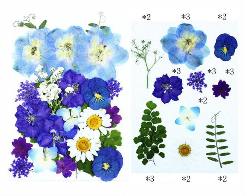 FL073 Premium Pressed Flower Sheet