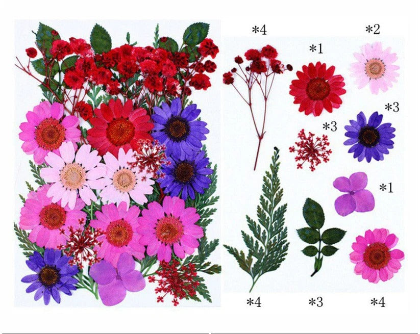 FL077 Premium Pressed Flower Sheet