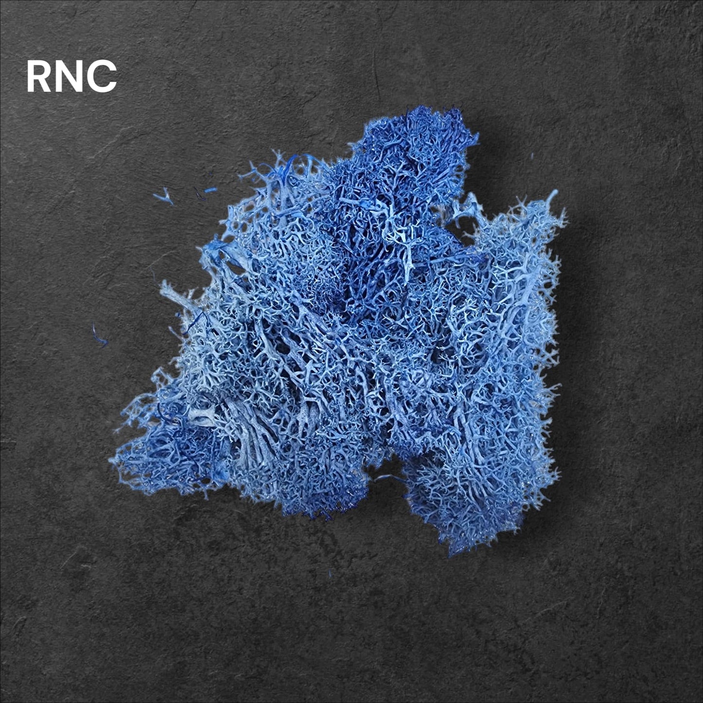Preserved Reindeer moss Color - 8