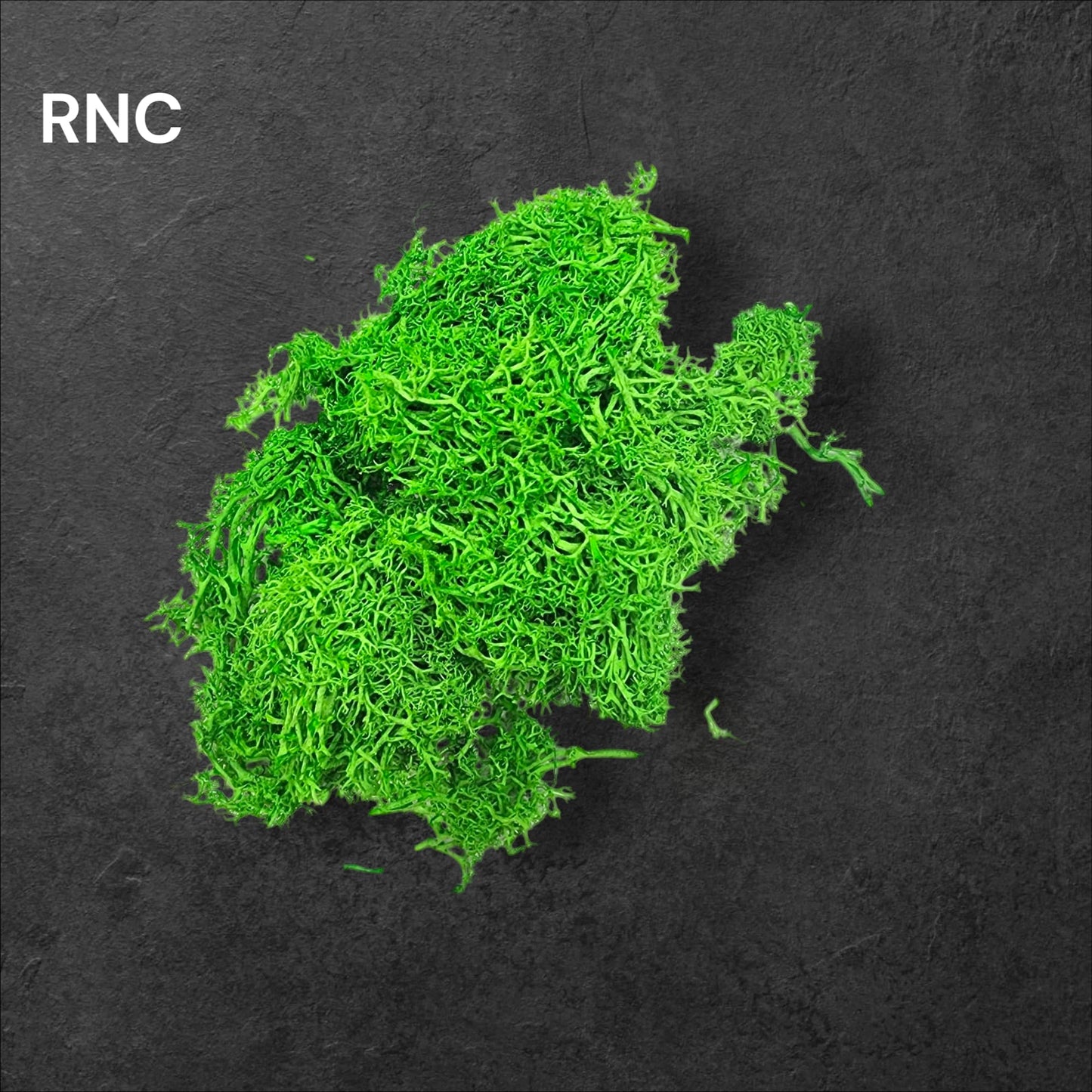 Preserved Reindeer moss Color - 7