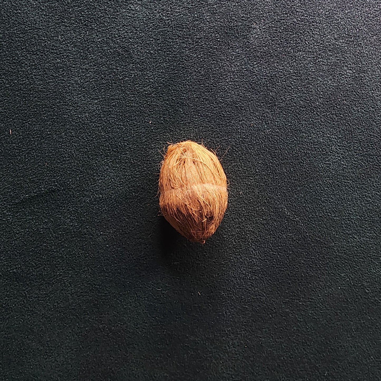 Dry Nariyal for Pooja & Festive Use 1 pc