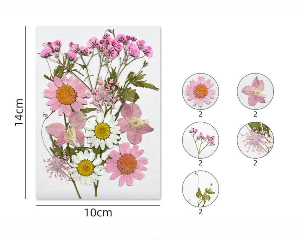 FL174 β 12 In 1 Pressed Flowers Set
