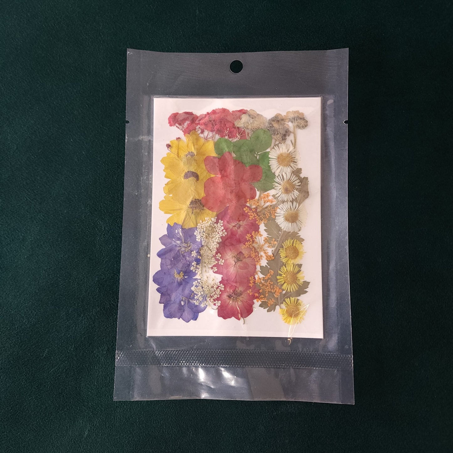 Fl156 36 In 1 Pressed Flowers