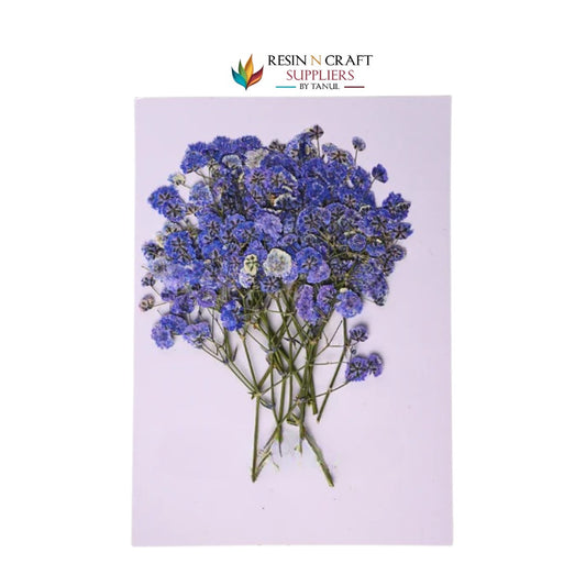 Baby Breath - Bluish Lavendar