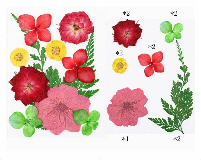 FL012 Premium Pressed Flower Sheet