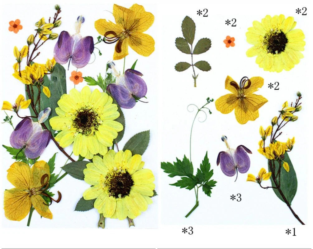 15 In 1 Pressed Flowers Fl187