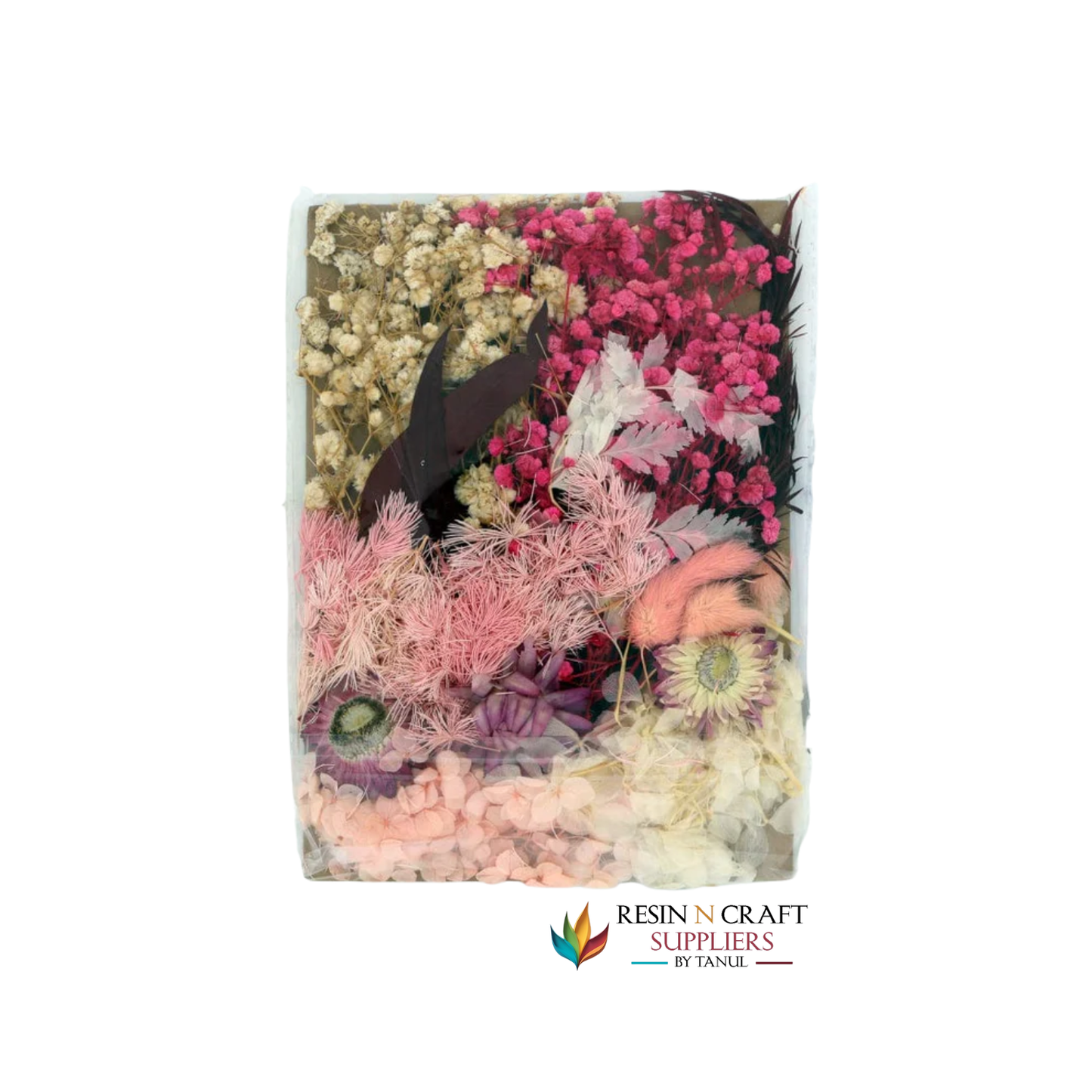 Dry Flower Card Packing (Pink Theme) (RFL6016)