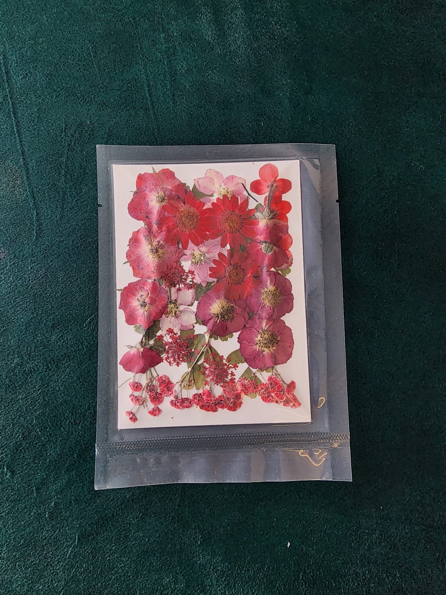 Pressed Flowers PS001