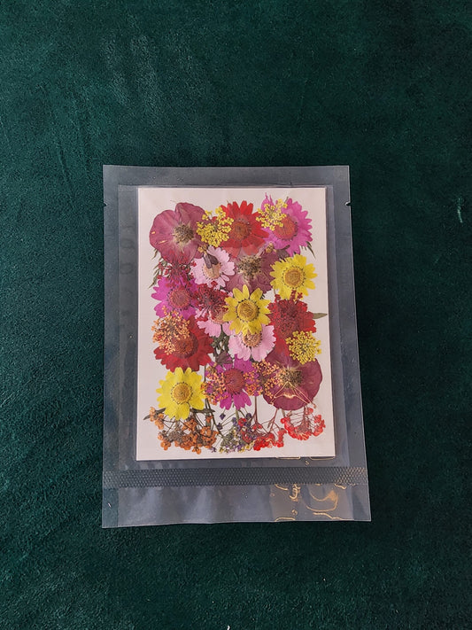 Pressed Flowers PS010