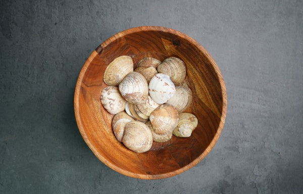Round Shell Material Big Round shells – RESIN N CRAFT SUPPLIERS
