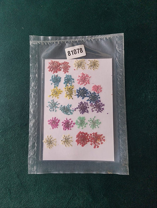 Premium Pressed Flower Sheet