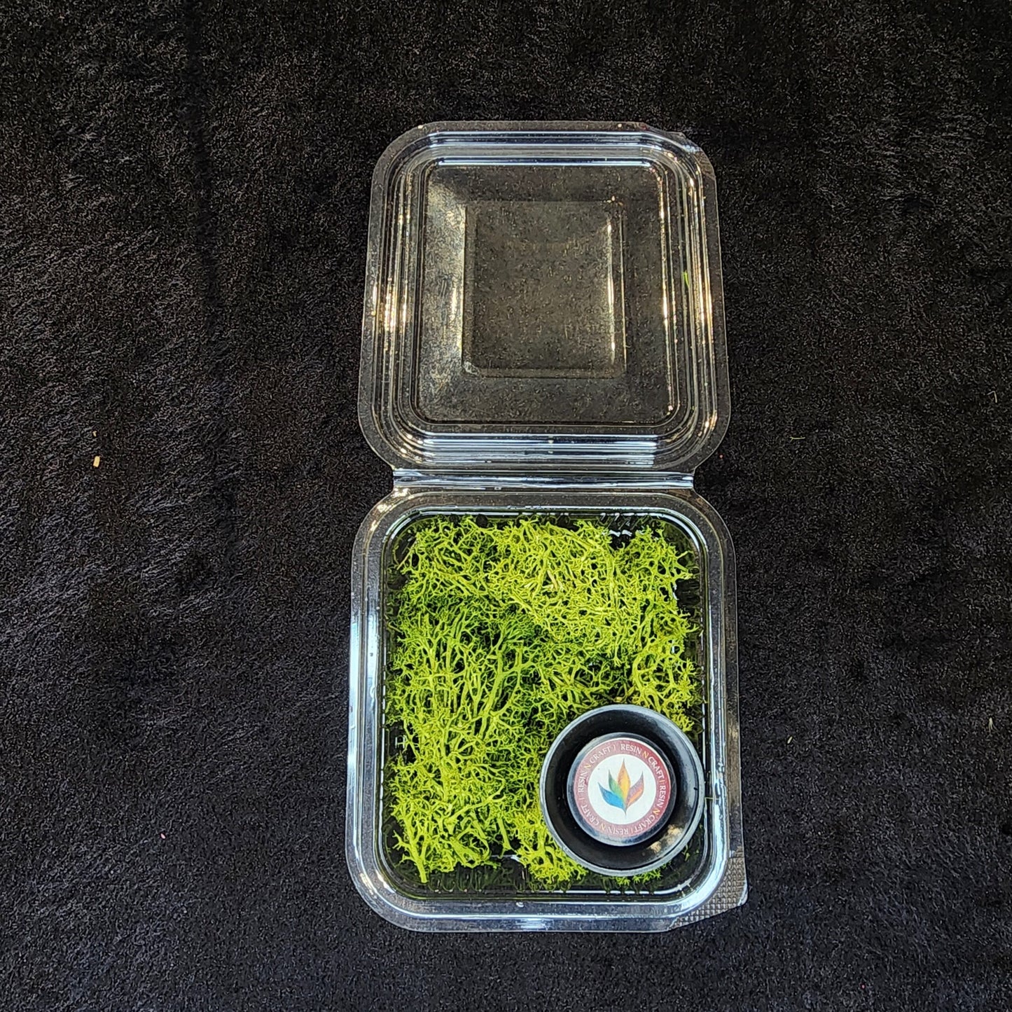 Green Moss Box.