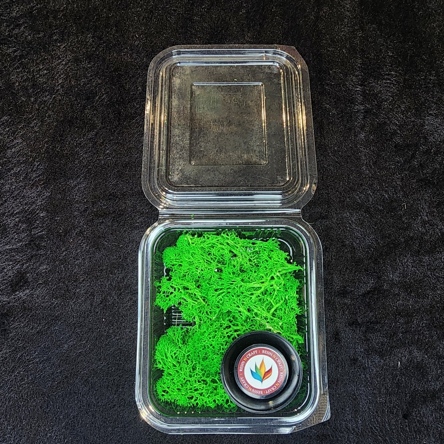 Bright Green Moss Box.