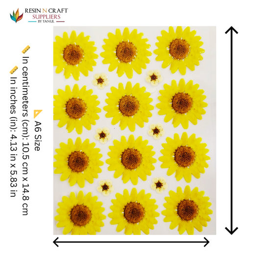 Color Peel & Stick UV DTF Sticker – A6 Size (UVS - 131)