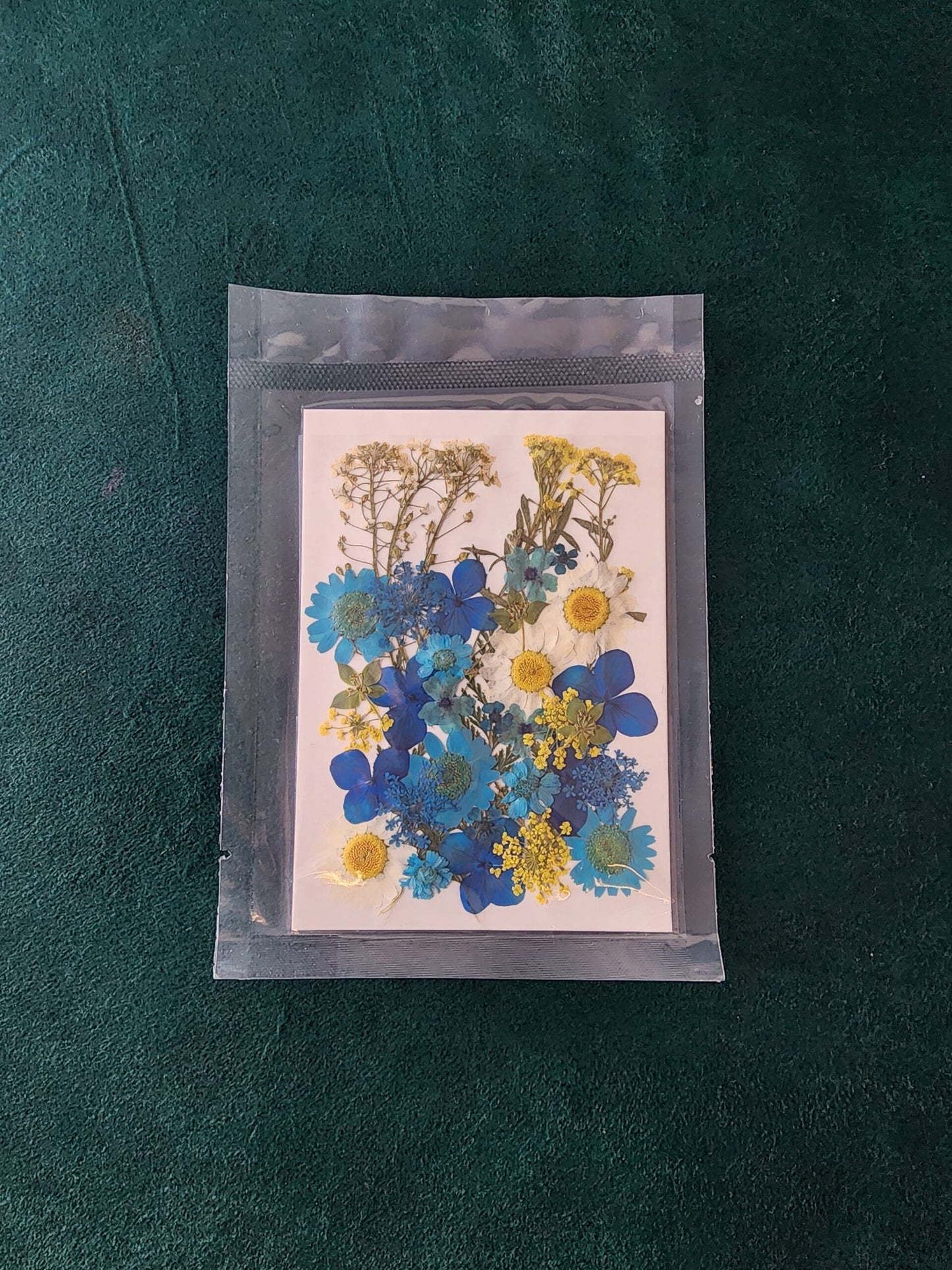 Pressed Flowers PS011