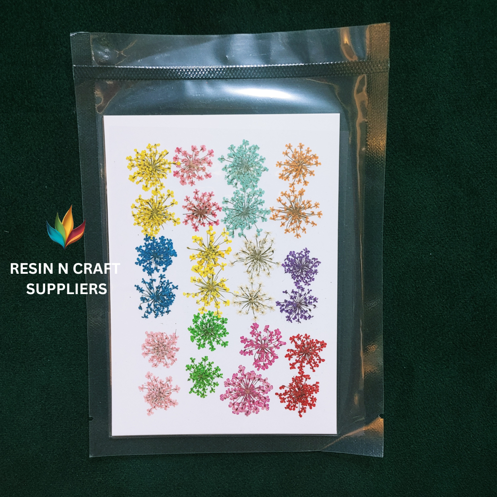 Pressed Flower Premium Sheet Design - 11