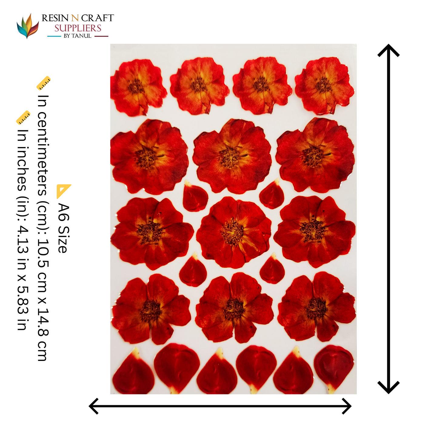 Color Peel & Stick UV DTF Sticker – A6 Size (UVS - 127)