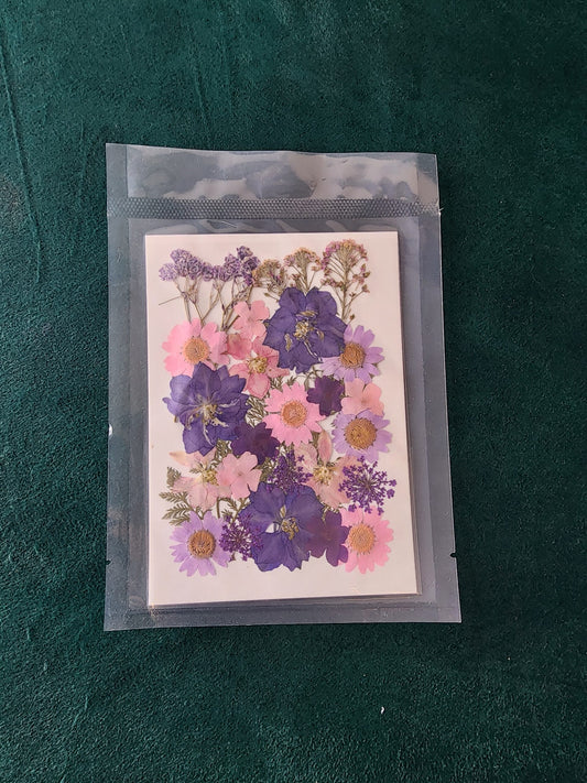 Pressed Flowers PS012