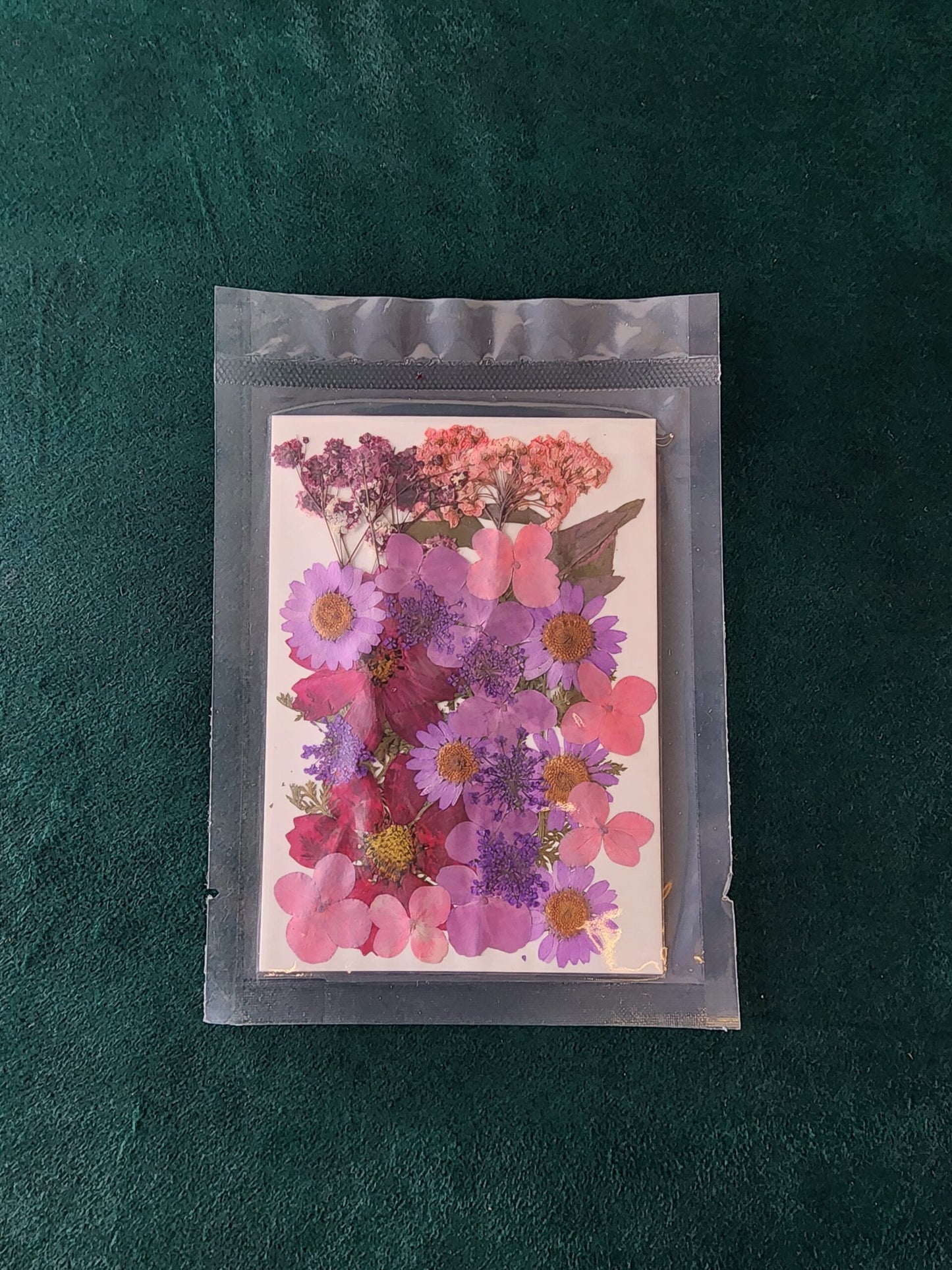 Pressed Flowers PS013