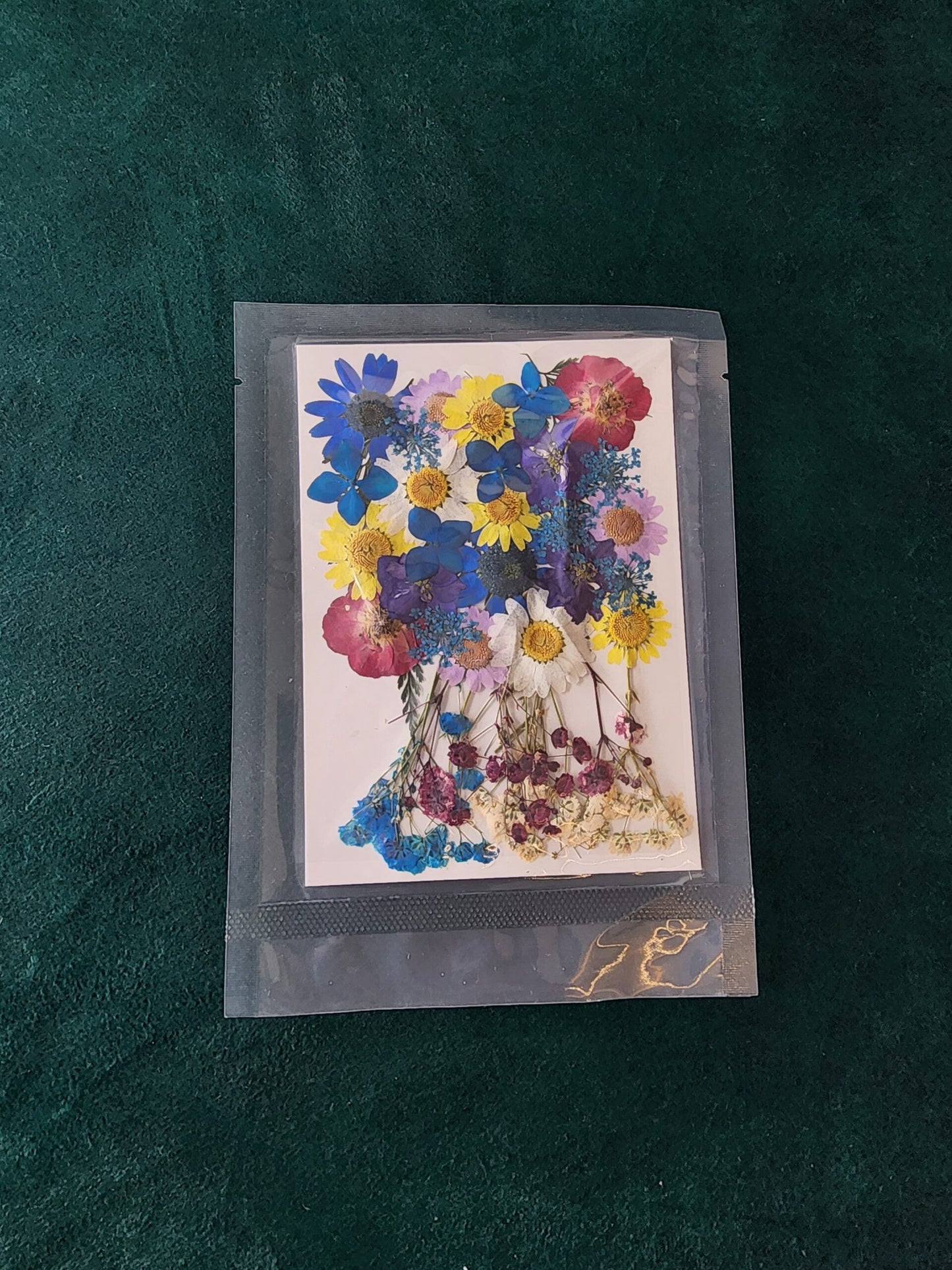 Pressed Flowers PS015