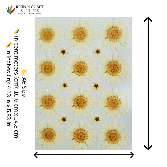 Color Peel & Stick UV DTF Sticker – A6 Size (UVS - 129)