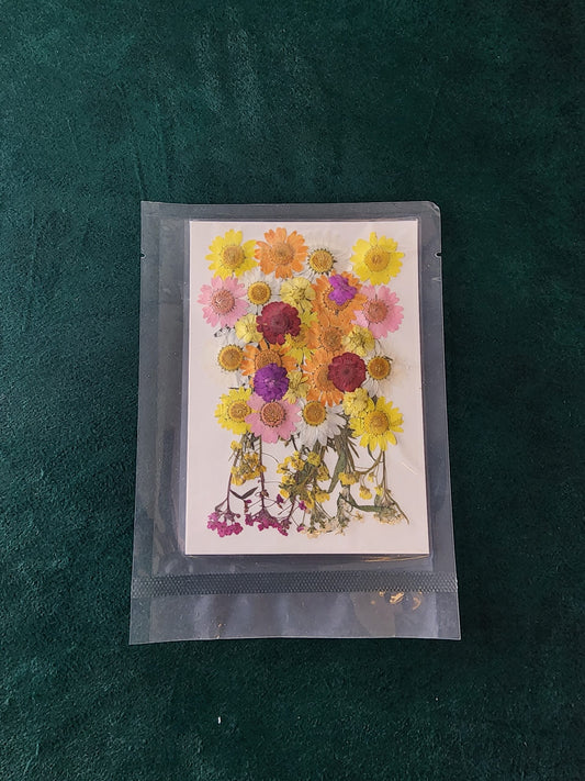 Pressed Flowers PS017