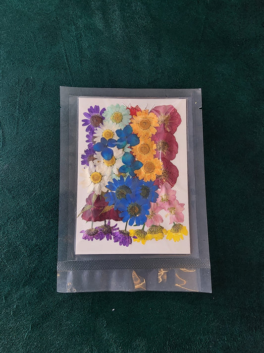 Pressed Flowers PS019