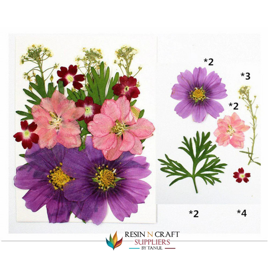 15 In 1 Pressed Flowers(fl034)