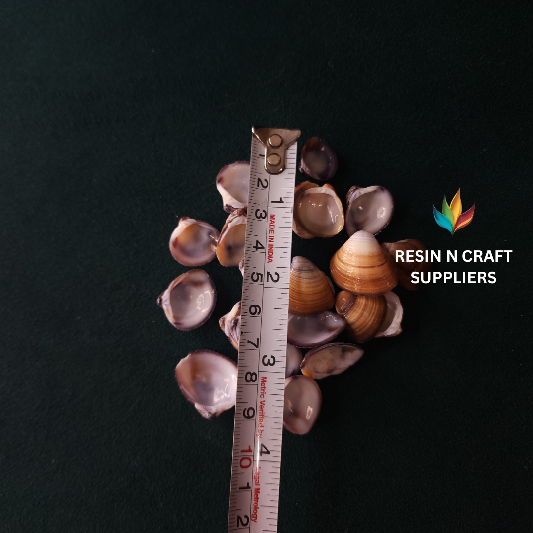 Two-Tone Sunset Clam Shell Stone 40 GRMS (Design 18)