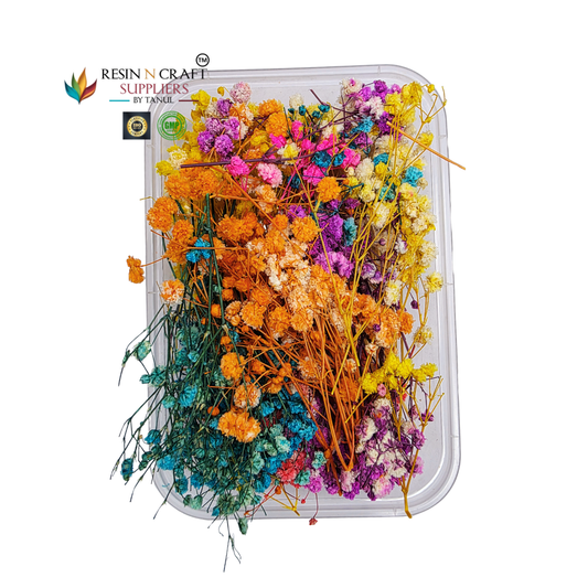 Gypsy Flower Box Mix Color