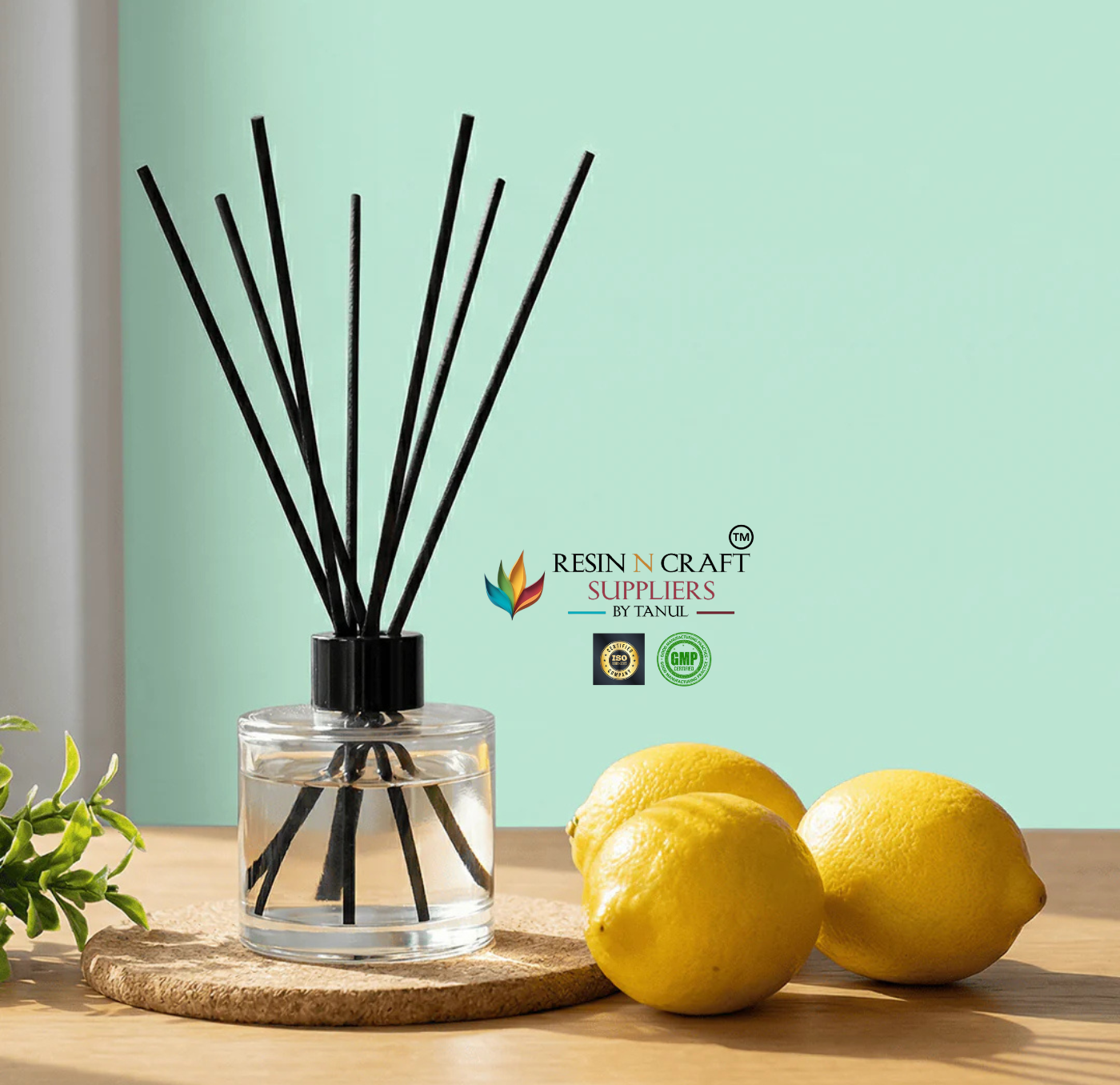 Reed / Aroma / Fragrance / Essential Oil / Perfume Diffuser Sticks (10 Pcs/Pack)