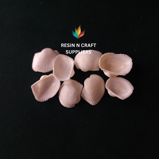 Pure White Fluted Clam Stone Shell 40 GRMS (Design 5)