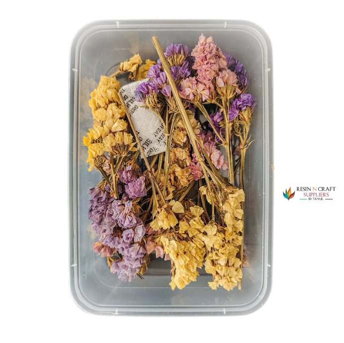 Multy Dried Statice Flower