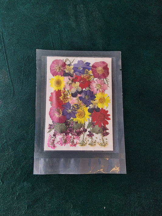 Pressed Flowers PS002